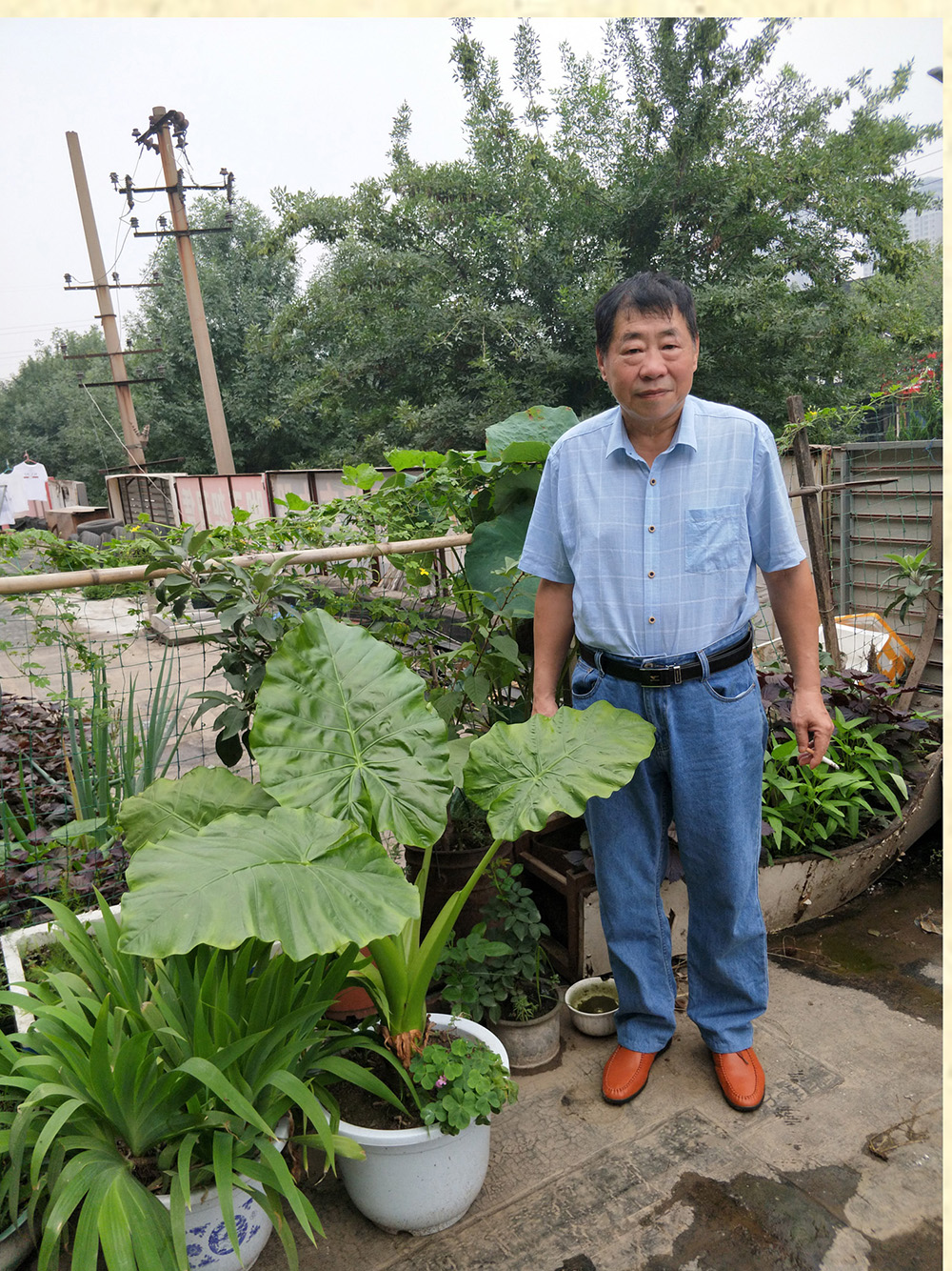 劉保民